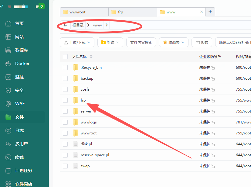 小白也能轻松搭建frp内网穿透,超详细实战教程